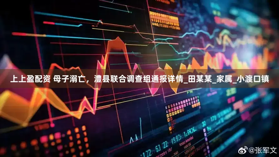 上上盈配资 母子溺亡，澧县联合调查组通报详情_田某某_家属_小渡口镇