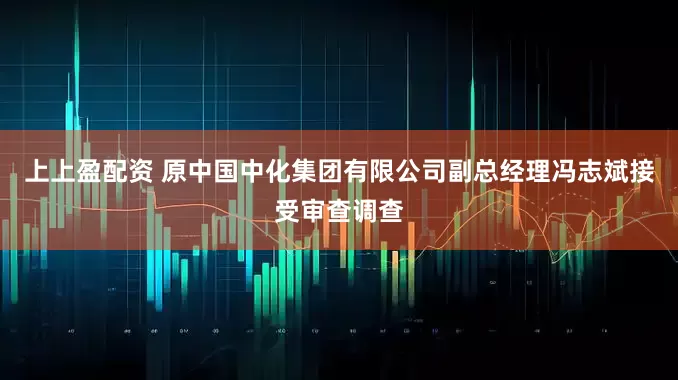 上上盈配资 原中国中化集团有限公司副总经理冯志斌接受审查调查
