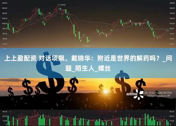 上上盈配资 对话项飙、戴锦华：附近是世界的解药吗？_问题_陌生人_螺丝