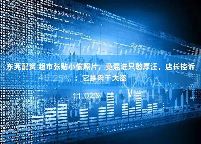 东莞配资 超市张贴小偷照片，竟混进只憨厚汪，店长控诉：它是肉干大盗